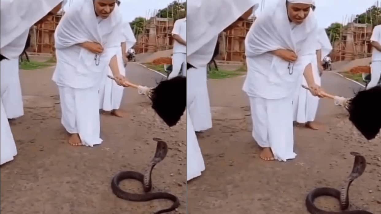 cobra snake jain sadhvi namokar mantra video lalitpur girar
