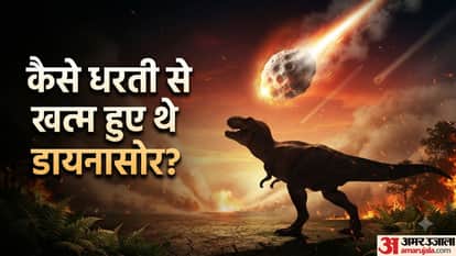 6.6 करोड़ साल पहले कैसे हुई थी डायनासोरों की मौत?