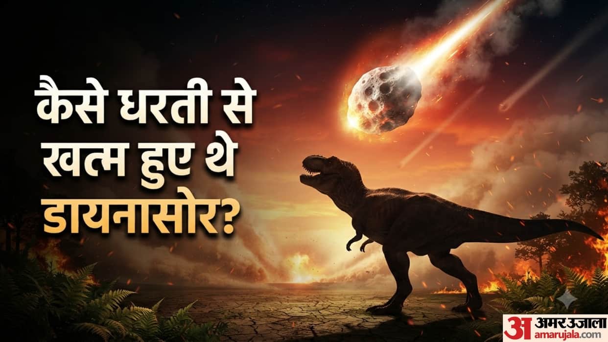Dinosaur Killing Asteroid Hit Earth And Worldwide Fires Incinerated Animals Study Finds trending news