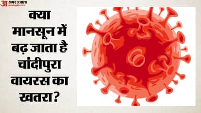 क्या मानसून में बढ़ जाता है चांदीपुरा वायरस का खतरा?