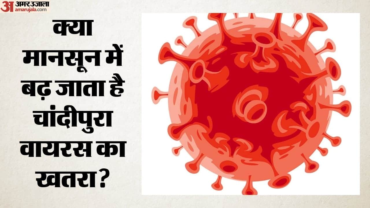 क्या मानसून में बढ़ जाता है चांदीपुरा वायरस का खतरा?
