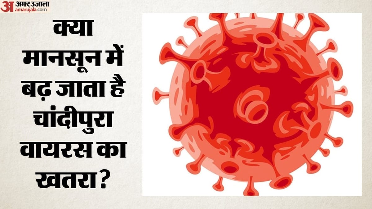 Chandipura Virus: рдЧреБрдЬрд░рд╛рдд рдореЗрдВ рдорд╛рдирд╕реВрди рдХреЗ рджреМрд░рд╛рди 22 рдмрдЪреНрдЪреЛрдВ рдХреА рдореМрдд, рдХрд┐рддрдирд╛ рдЦрддрд░рдирд╛рдХ рд╣реИ рдпрд╣ рд╡рд╛рдпрд░рд╕?