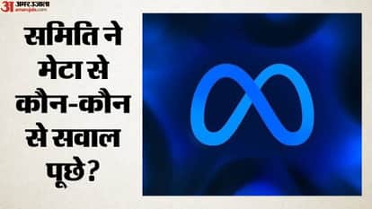 समिति ने मेटा से कौन-कौन से सवाल पूछे?