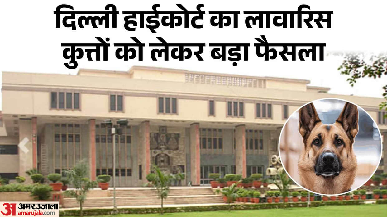 Delhi High Court directed MCD-NDMC special camps in every ward for vaccination and sterilization stray dogs