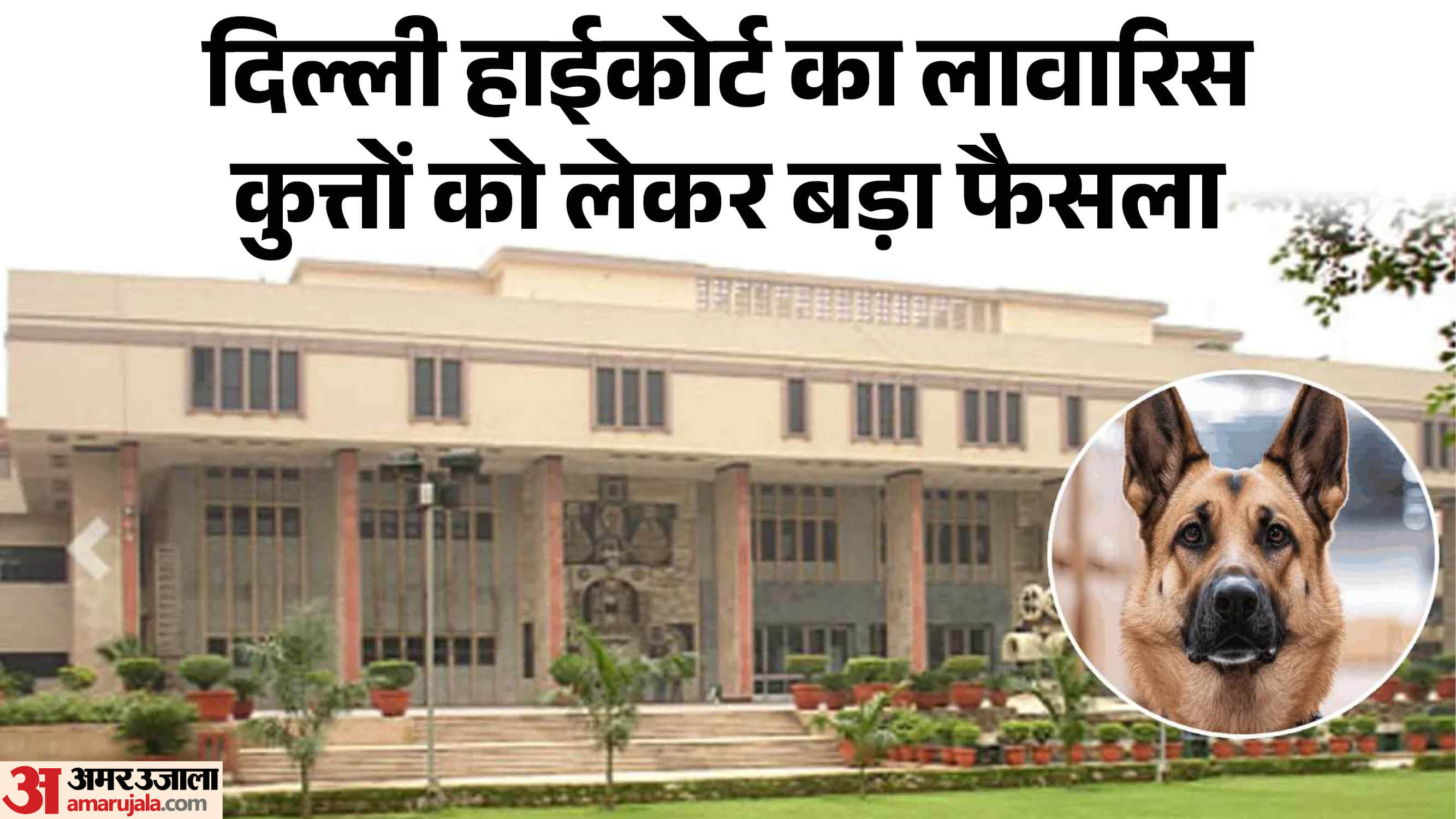 दिल्ली हाईकोर्ट