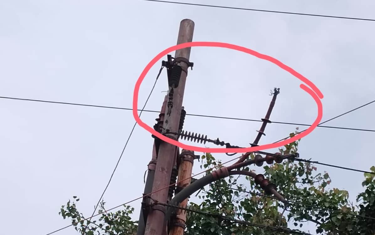Lizard causes wire snap in ghaziabad Lalkuan power outage in dozen colonies including jail