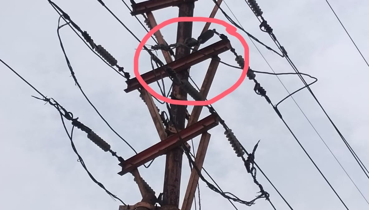 Lizard causes wire snap in ghaziabad Lalkuan power outage in dozen colonies including jail