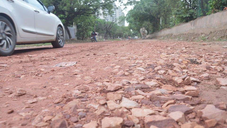 Agra: Shiva Devotees Face Rough 44-Km Parikrama Route, 12 Km Stretch in Poor Condition