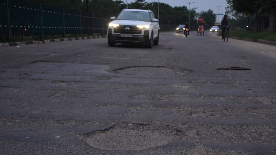 chandigarh 1.5 lakh motorists using the South Route daily will get relief as the road undergoes re-carpeting