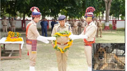 'Venmore', a sniffer dog deployed for the security of Gorakhnath Temple, dies of cancer.
