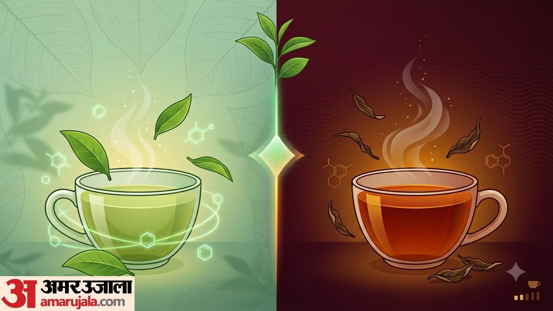 green tea or black tea which is better for weight loss