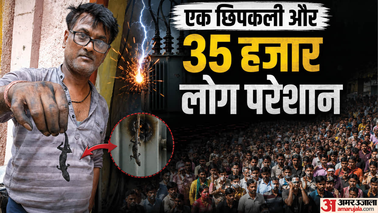 Lizard causes wire snap in ghaziabad Lalkuan power outage in dozen colonies including jail