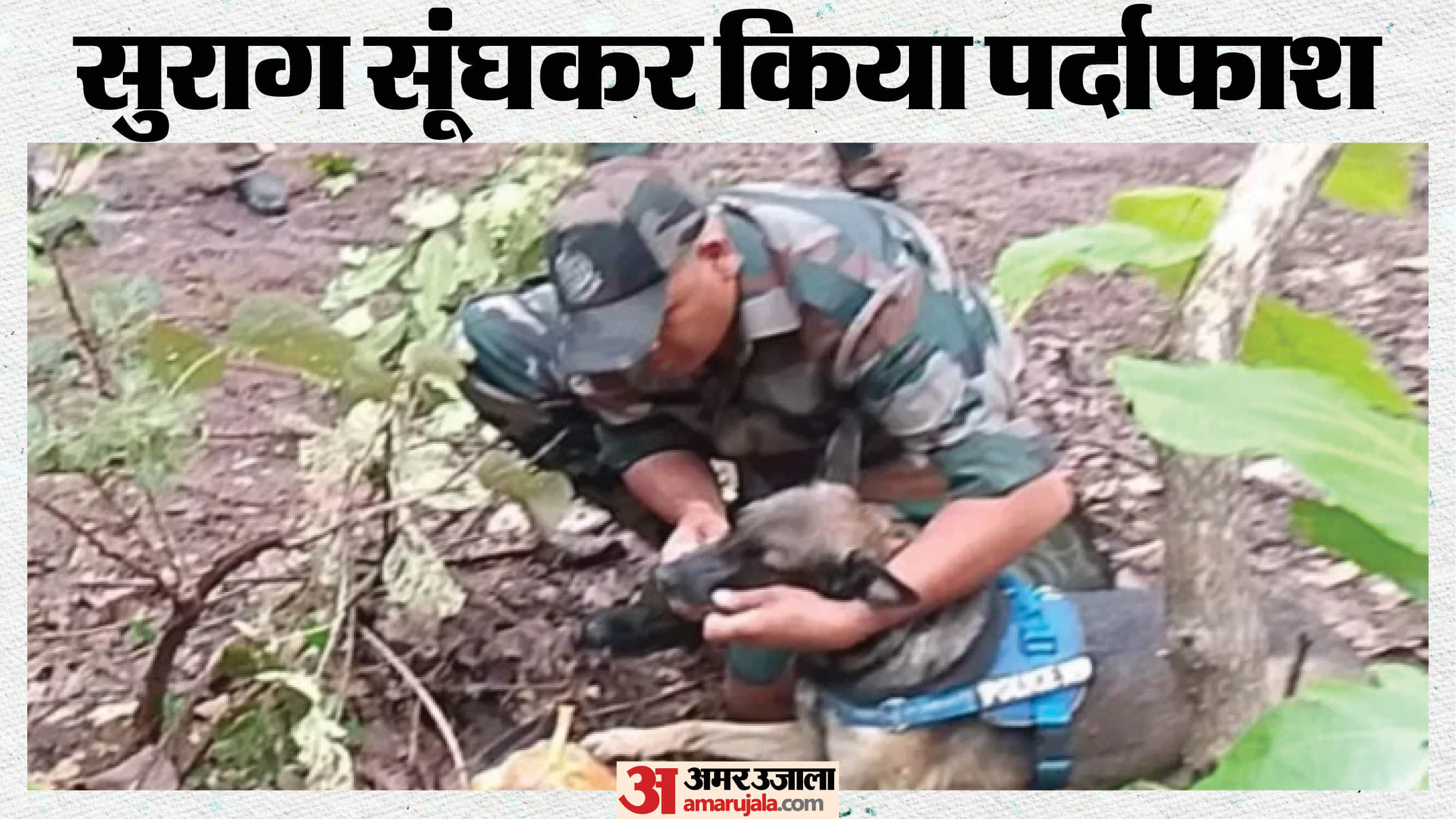 मौके पर मौजूद टीम
