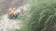 Accident in Greater Noida Auto-rickshaw carrying passengers falls into canal