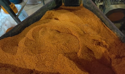 Adulteration: 'Fake Turmeric' Being Made by Mixing Color with Rice Fragments; Stock Worth ₹5.86 Lakh Seized