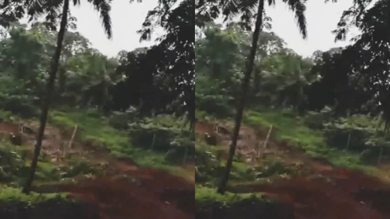 Kerala Landslide Video Massive Hill Collapse Caught on Camera in Malappuram Major Tragedy Averted
