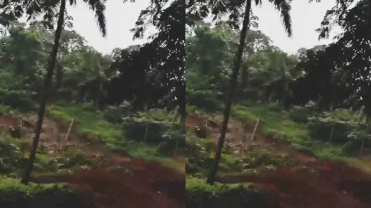 Kerala Landslide Video Massive Hill Collapse Caught on Camera in Malappuram Major Tragedy Averted