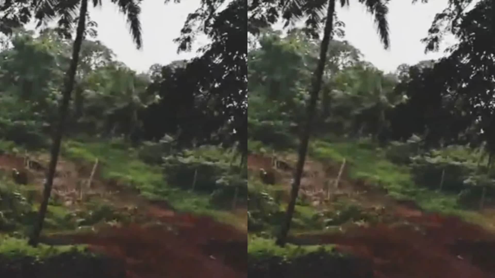 पहाड़ी का बड़ा हिस्सा सड़क पर भरभराकर गिरा