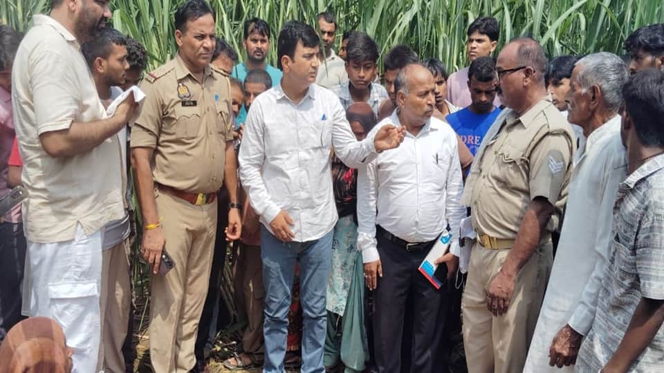 Moradabad: Leopard attacks woman working in sugarcane field; devours her head and face