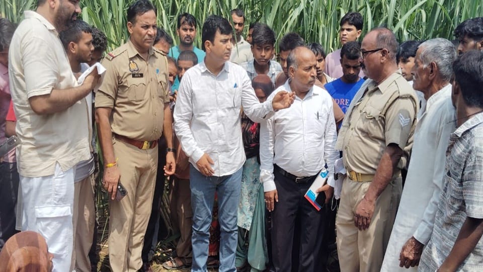Moradabad: Leopard attacks woman working in sugarcane field; devours her head and face