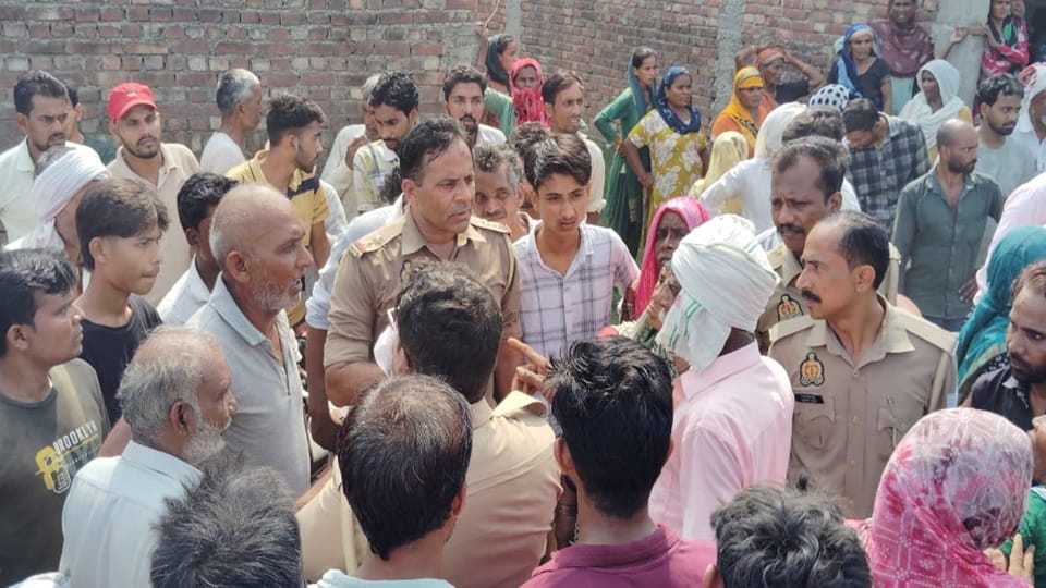 Moradabad: Leopard attacks woman working in sugarcane field; devours her head and face