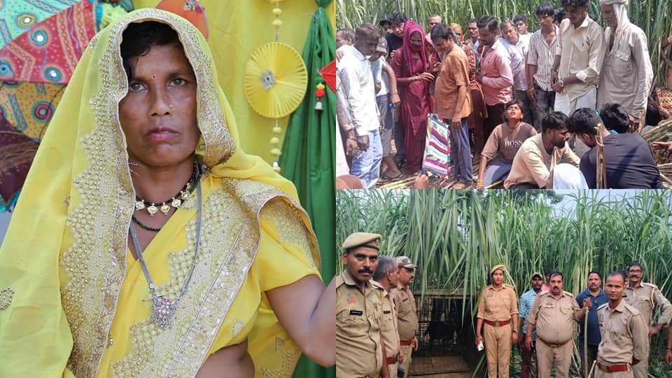 Moradabad: Leopard attacks woman working in sugarcane field; devours her head and face