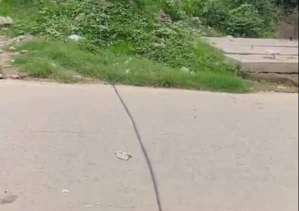 Lizard causes wire snap in ghaziabad Lalkuan power outage in dozen colonies including jail