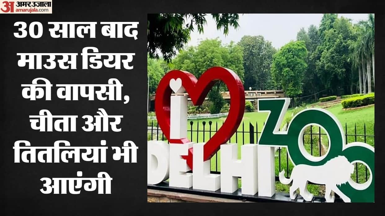 Preparations underway to add 109 new species and 2943 animals to the Delhi Zoo