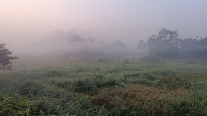 Valdhuni River: A Journey from Rich Ecology and Historic Roots to Severe Chemical Pollution
