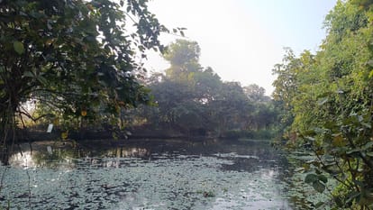 Valdhuni River: A Journey from Rich Ecology and Historic Roots to Severe Chemical Pollution