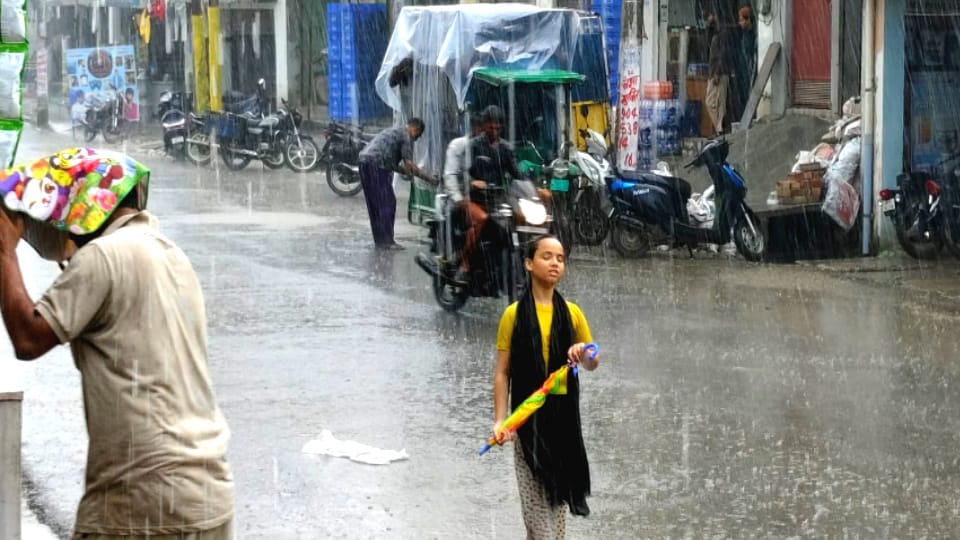 West UP Weather: Rain in Several Districts, Humidity Persists in Meerut, Kanwar Yatra Affected