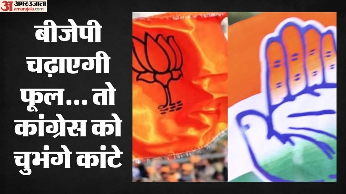Up:फिरोज गांधी की कब्रगाह पर अब चढ़ेंगे सियासत के फूल, कांग्रेस की अनदेखी को टटोलती रही भाजपा; अब सक्रिय – Flowers Of Politics Will Now Be Laid At Feroze Gandhi’s Grave. Up:फिरोज गांधी की कब्रगाह पर अब चढ़ेंगे सियासत के फूल, कांग्रेस की अनदेखी को टटोलती रही भाजपा; अब सक्रिय – Flowers Of Politics Will Now Be Laid At Feroze Gandhi’s Grave.