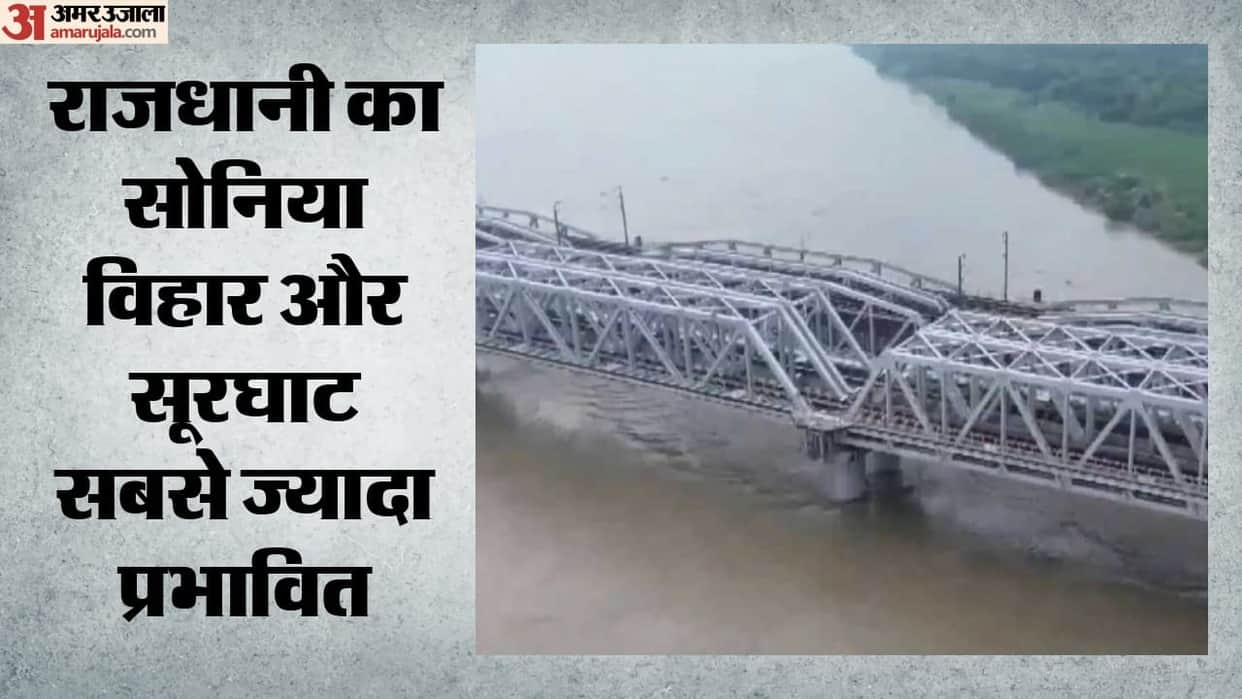 DU Study: Microplastics found in fish from Yamuna water