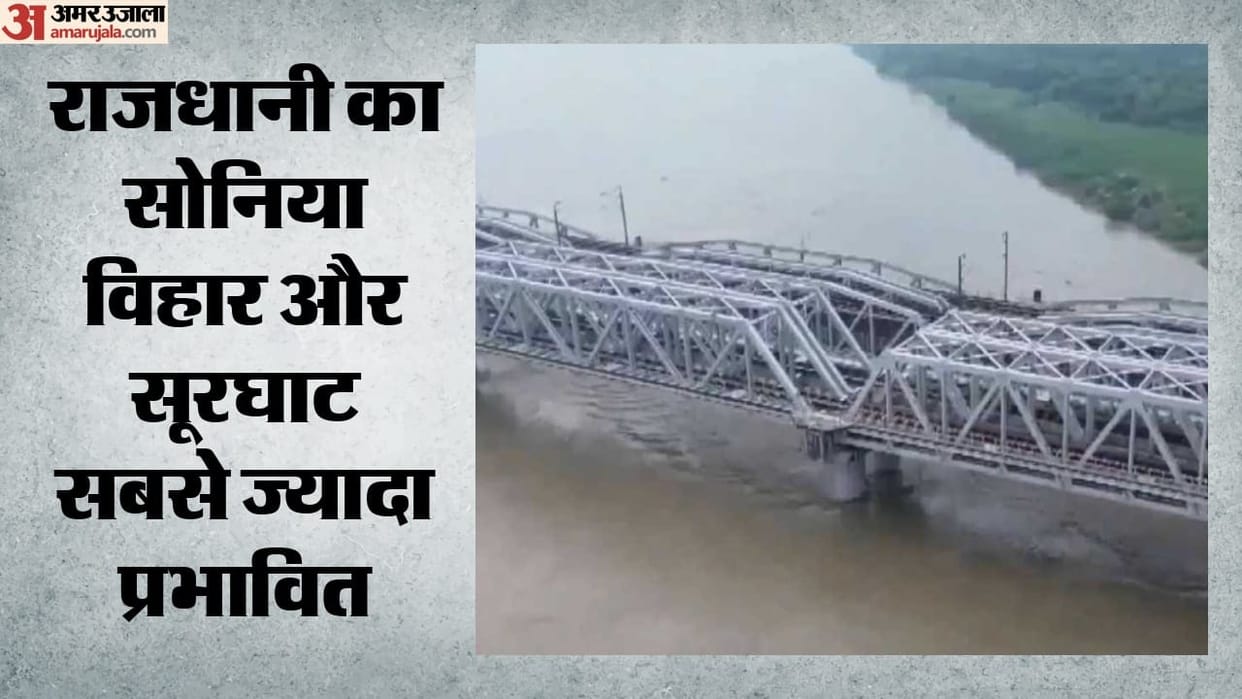 DU Study: Microplastics found in fish from Yamuna water