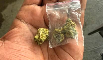 Kanpur American and Malaysian marijuana and charas being sourced via the dark web