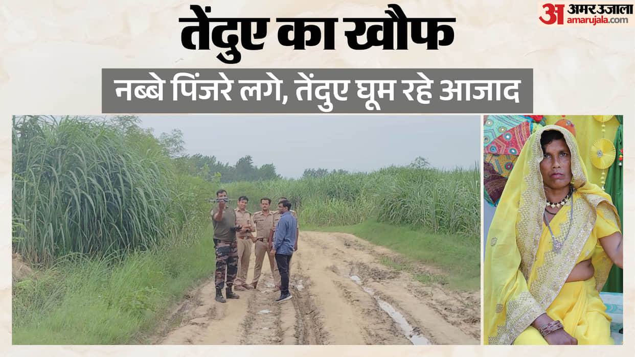 Ninety cages have been installed in Moradabad division leopard smeared with human blood may become a man-eater