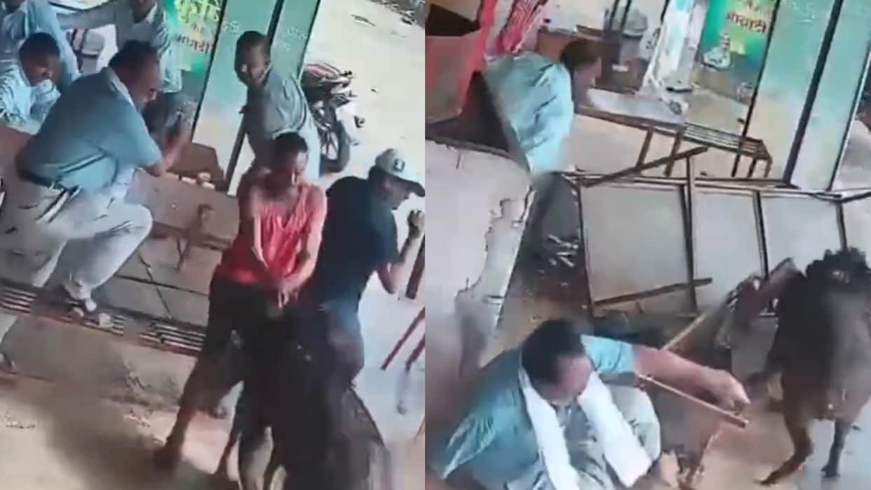 wild boar attacks On people enjoying sipping tea video viral on internet