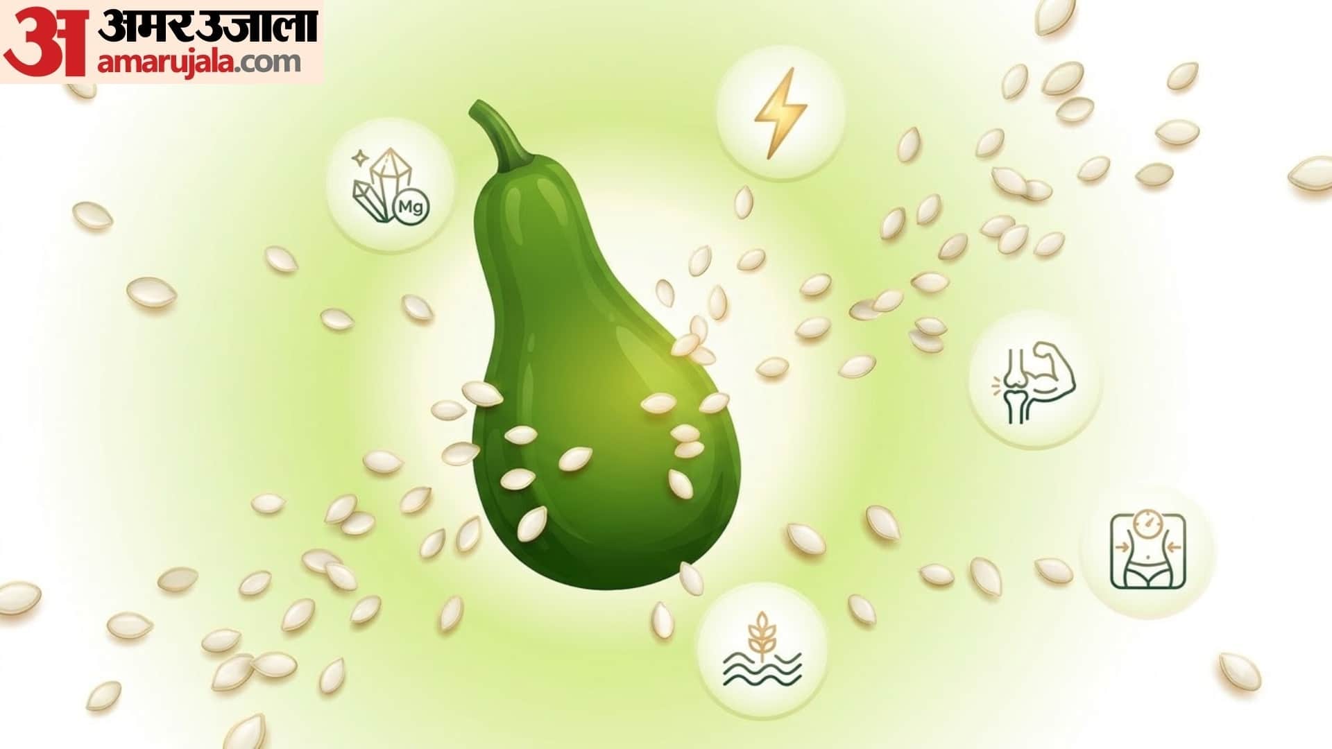 benefits of eating bottle gourd seeds in hindi lauki ke beej ke fayde