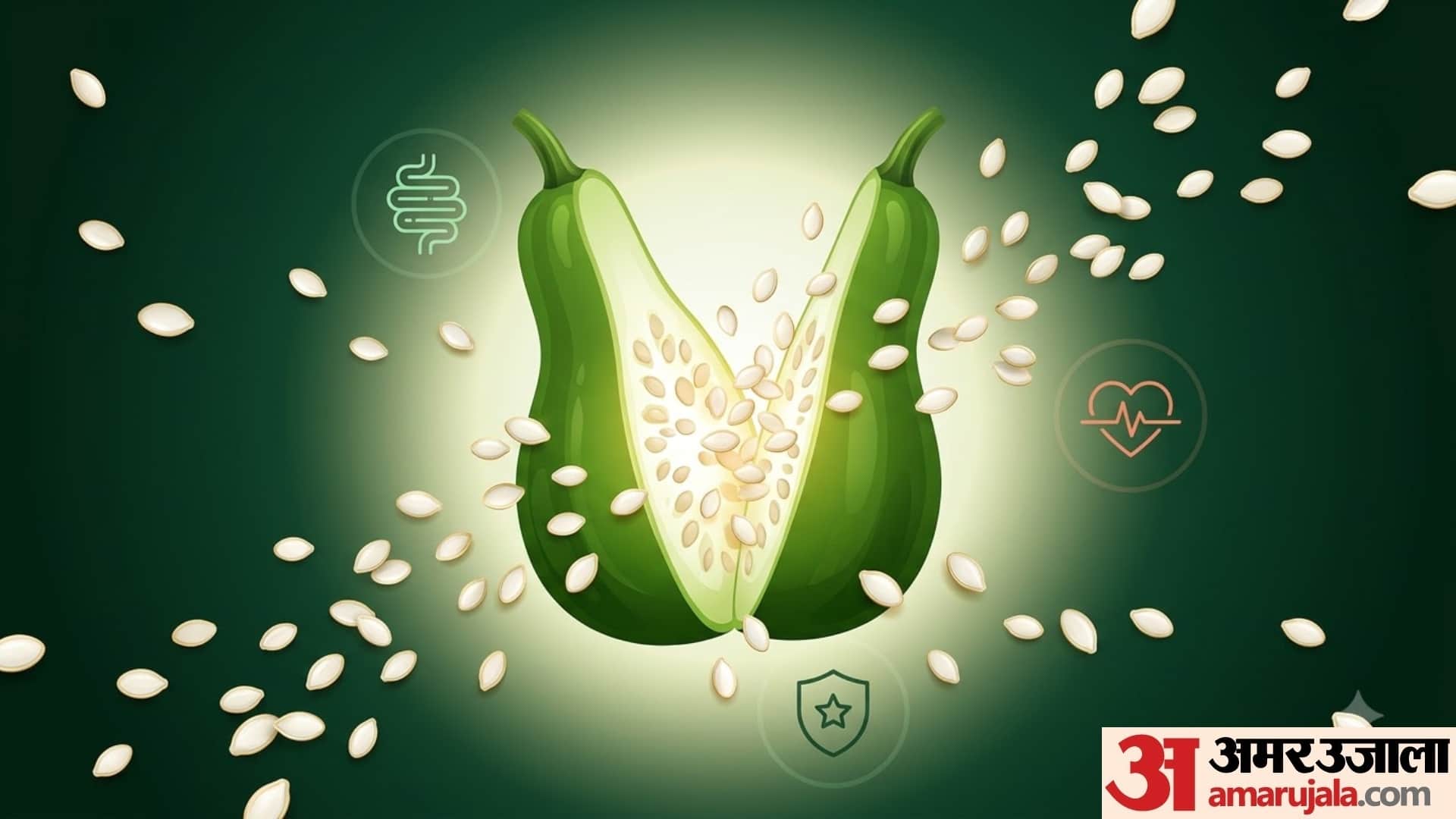 benefits of eating bottle gourd seeds in hindi lauki ke beej ke fayde