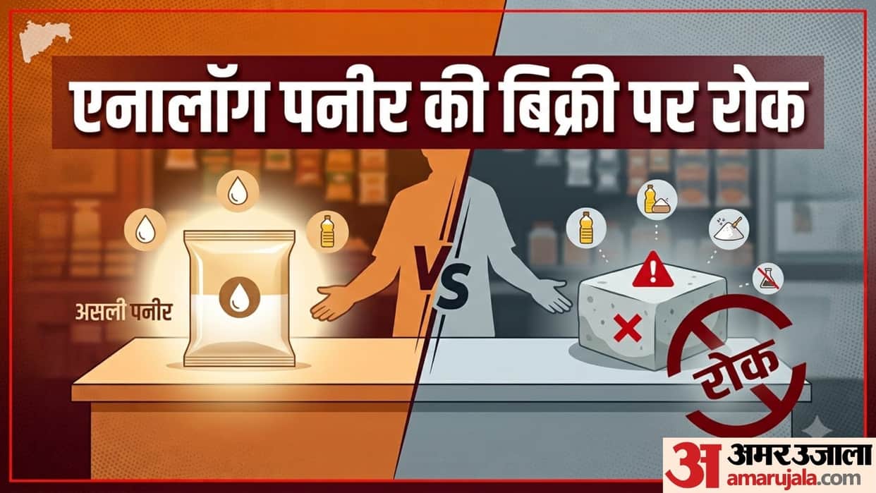 what is Analogue paneer and its side effects in hindi analogue paneer kaise banta hai