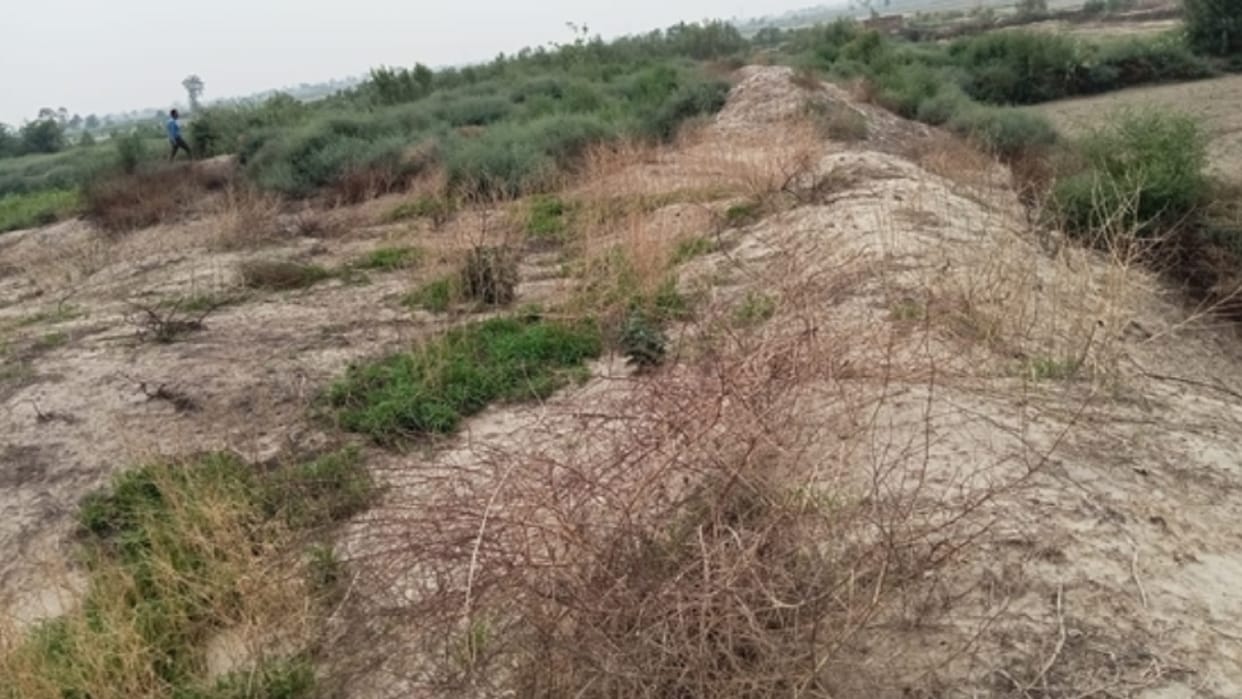 Harappan era mound in Bhiwani of Tigdana under threat from farming for over decade