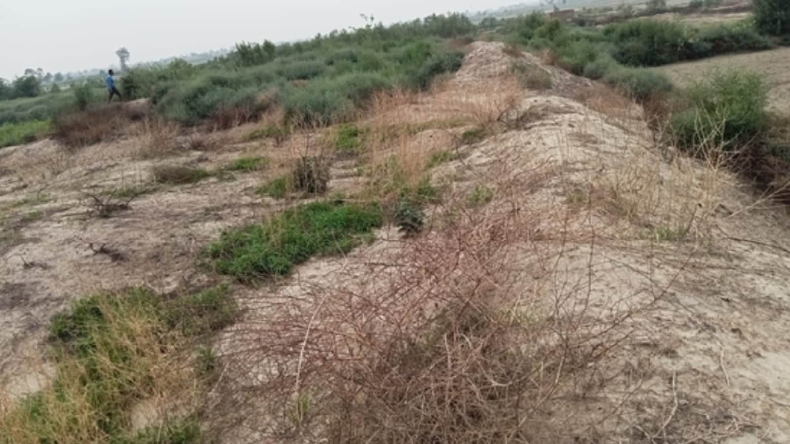 गांव तिगड़ाना का हड़प्पा कालीन सभ्यता से जुड़ा ऐतिहासिक टीले पर अवैध मिट्टी खनन के बाद के हालाात।