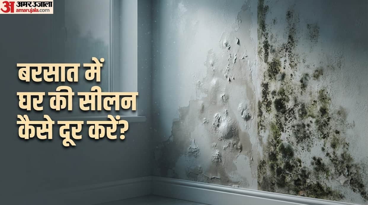 How to remove the smell of dampness and mold from the house ghar se seelan ki badbu kaise hatayein