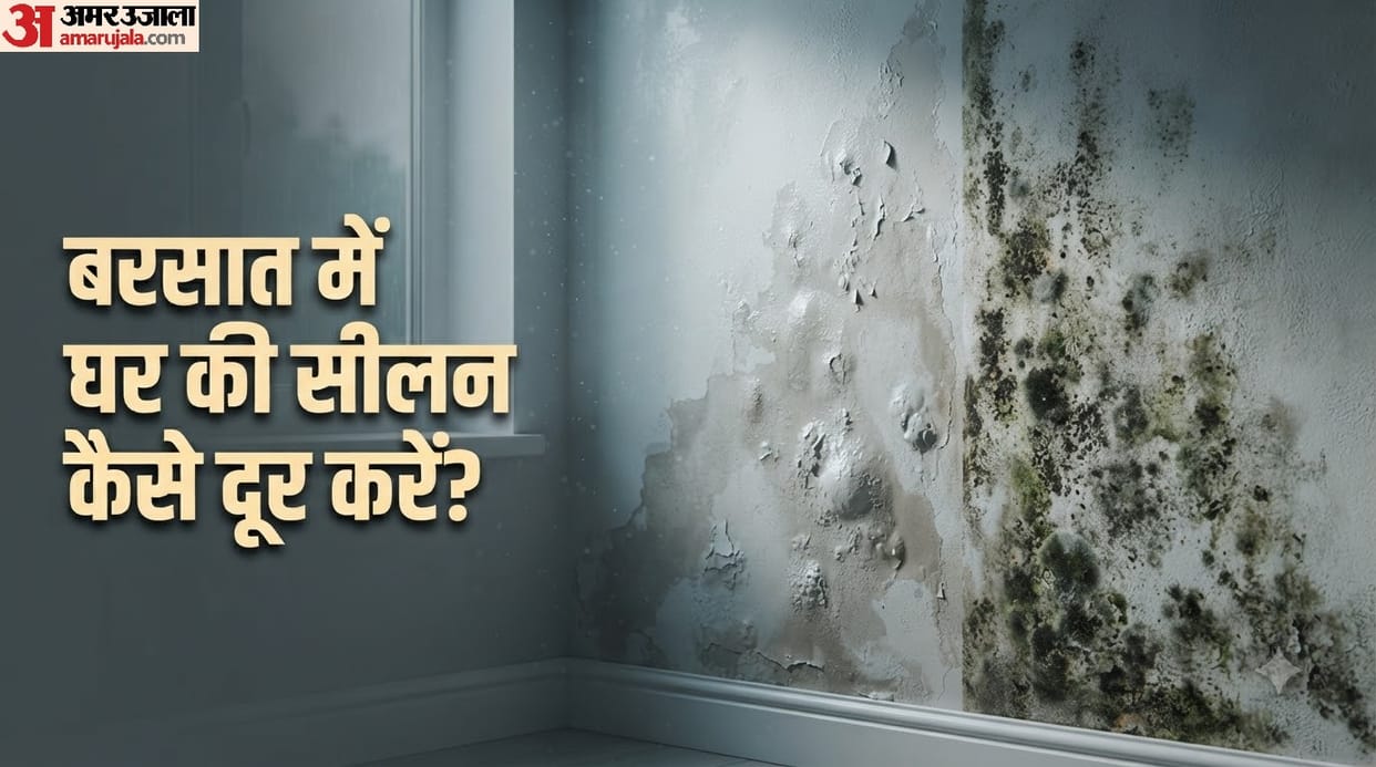 How to remove the smell of dampness and mold from the house ghar se seelan ki badbu kaise hatayein