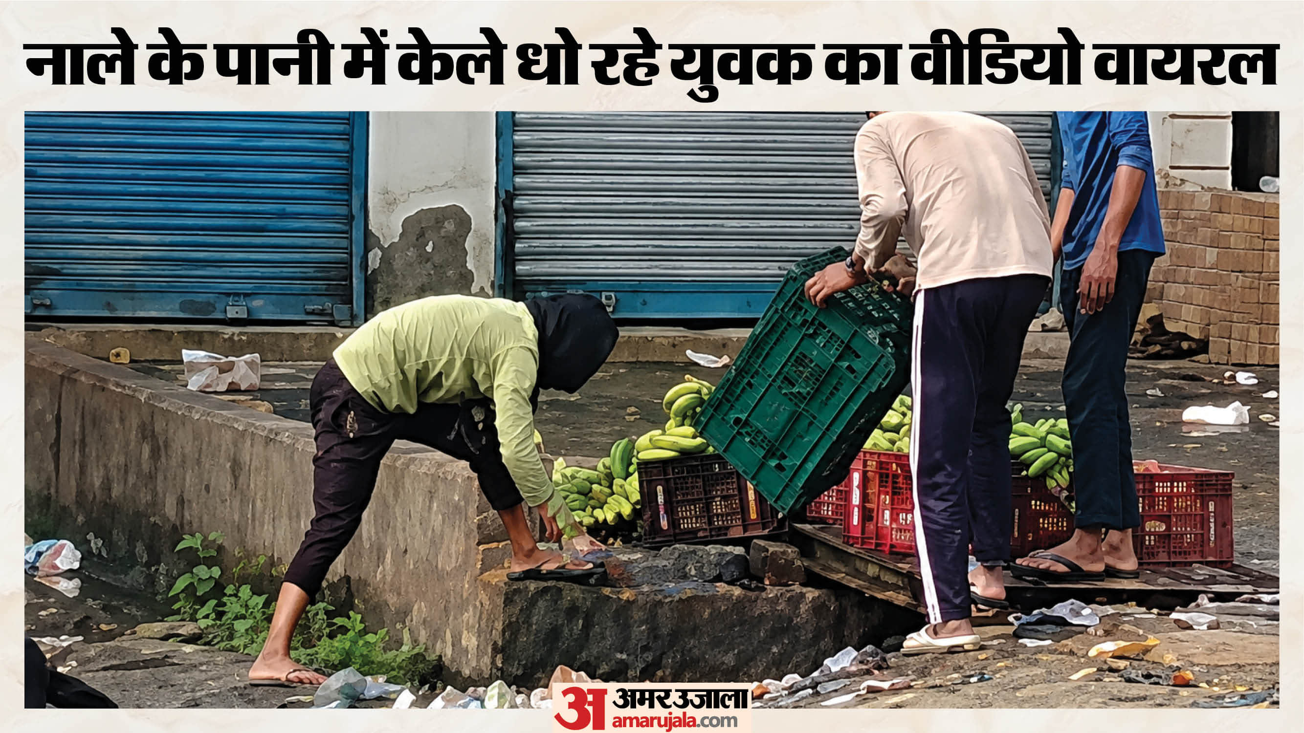 नाले के गंदे पानी में केले धोता युवक