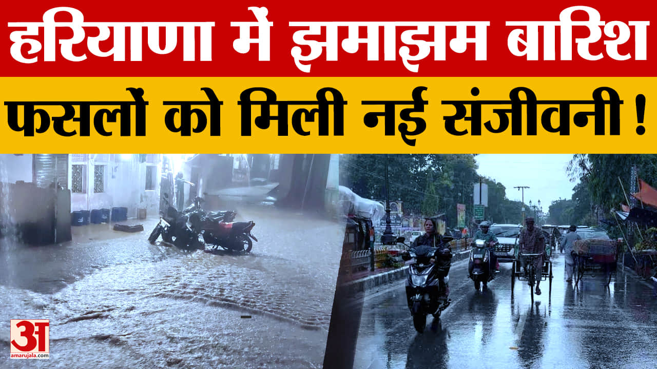 हरियाणा में 12 अगस्त तक बारिश के आसार, उमस से राहत; 32% कम मानसून की भरपाई की उम्मीद