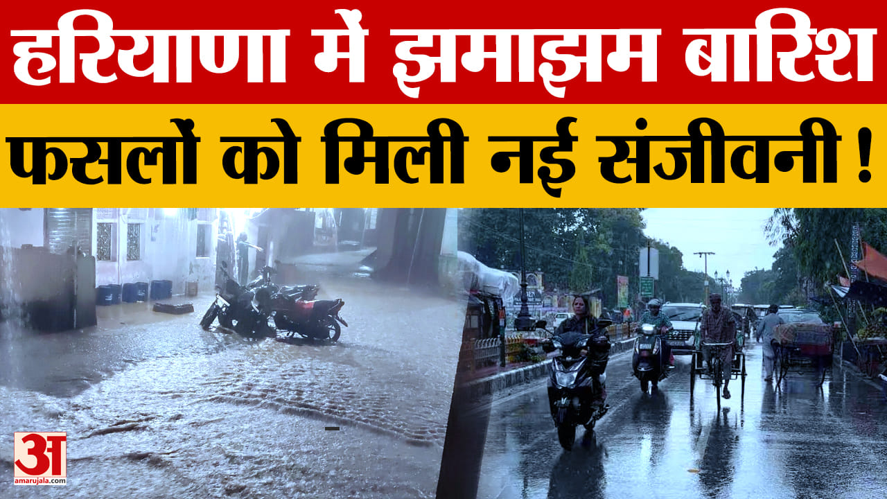 हरियाणा में 12 अगस्त तक बारिश के आसार, उमस से राहत; 32% कम मानसून की भरपाई की उम्मीद