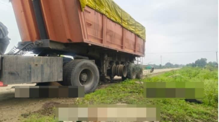 Speeding trailer runs over five cattle in Shahdol, killing them instantly