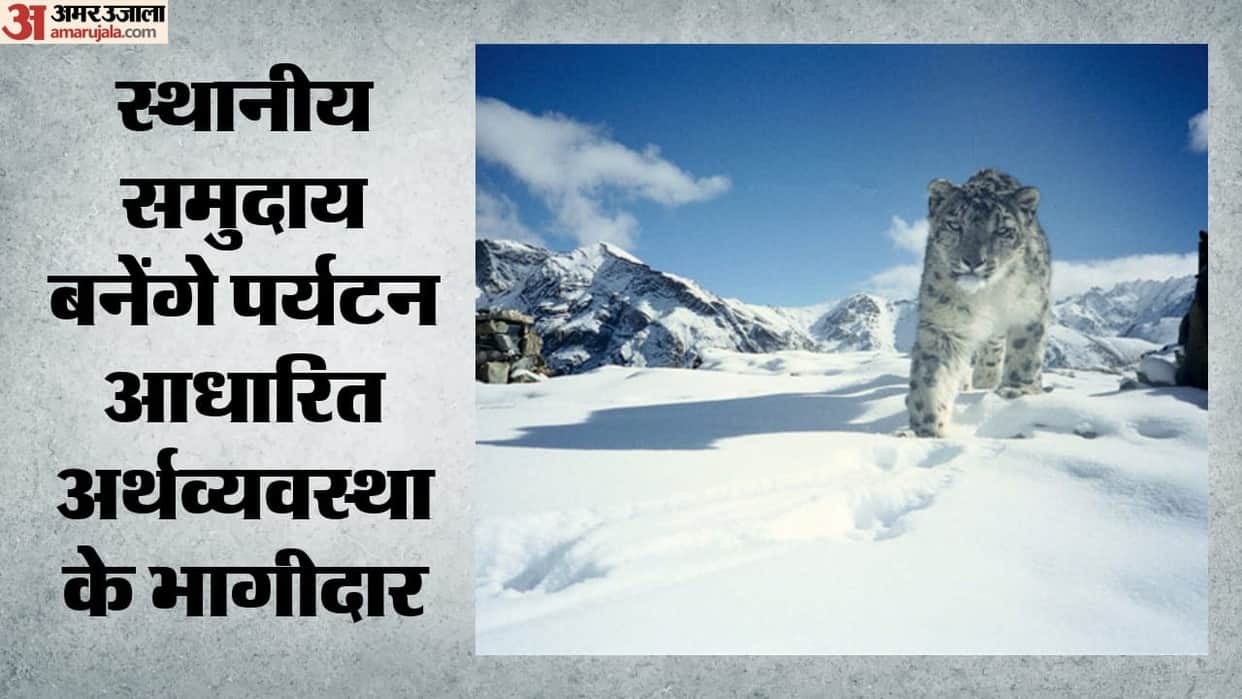 Leh: country's first high-altitude wildlife safari set to launch in Ladakh; tourists will see snow leopards.