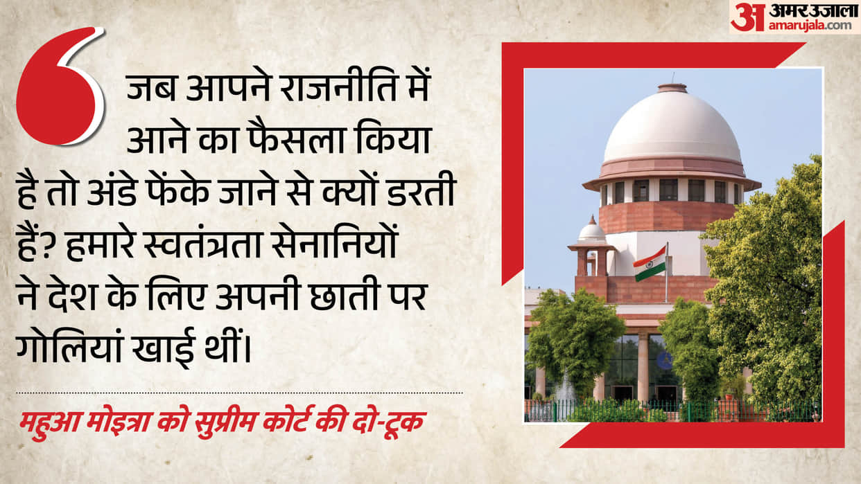 Freedom fighters took bullets, you are afraid of eggs?: Supreme Court remark to Mahua Moitra, rejected plea
